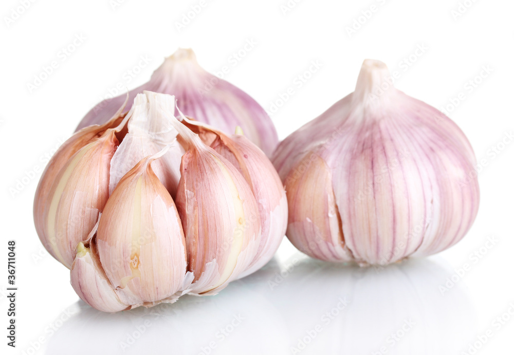 fresh garlic isolated on white fresh garlic isolated on white