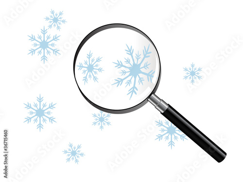 Snowflakes