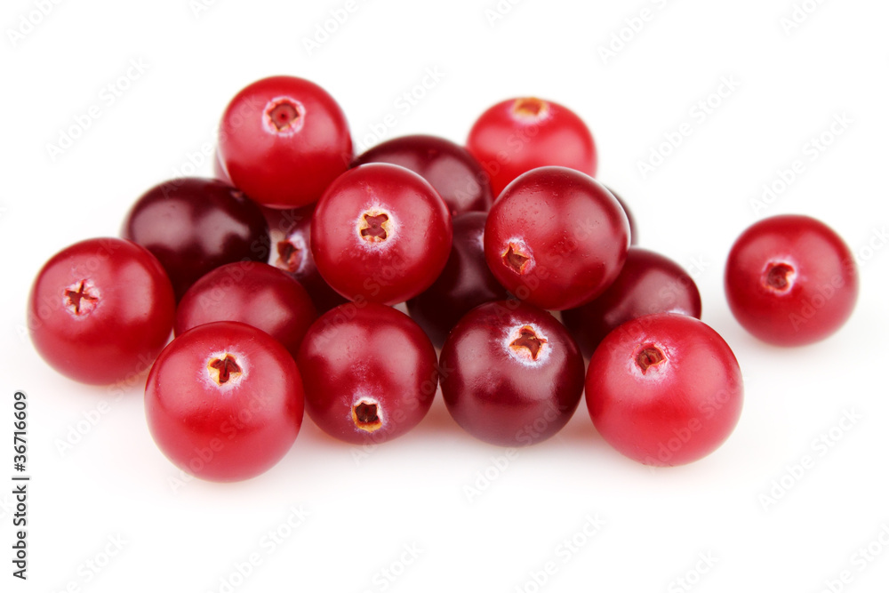 Fresh cranberry Fresh cranberry