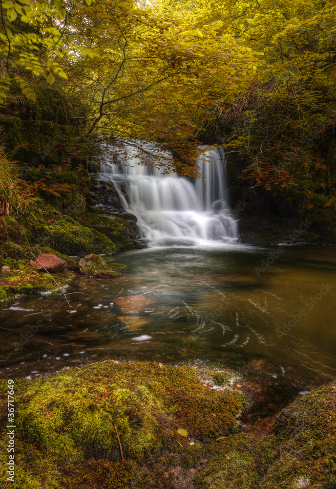 Obraz premium Waterfall flowing through Autumn Fall forest landscape