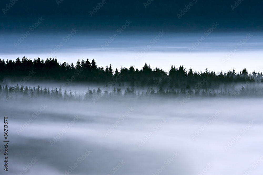Obraz premium Nebbia