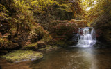 Waterfall flowing through Autumn Fall forest landscape