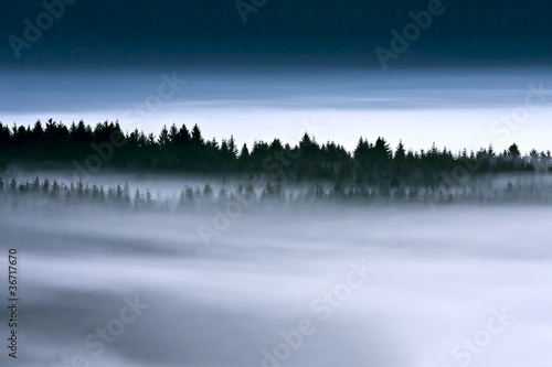 Nebbia © Michele Faggian