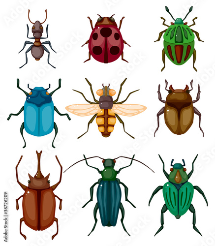 cartoon insect bug icon © notkoo2008
