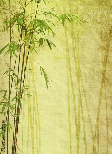 Obraz bambus na stary grunge tekstur papieru antyków.