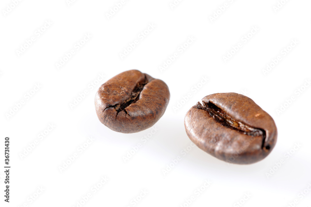 Fototapeta premium coffee3