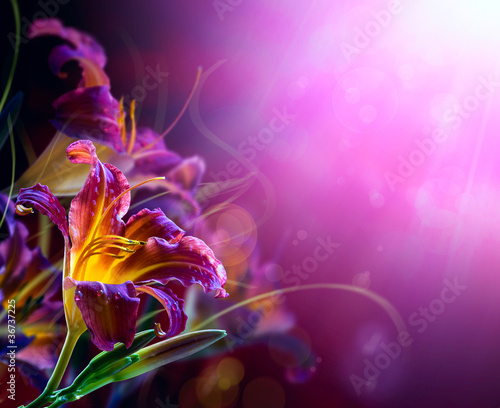 Fototapeta Naklejka Na Ścianę i Meble -  Flowers on a red background .With copy-space