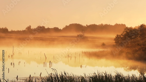 Misty morning sunrise on the marsh