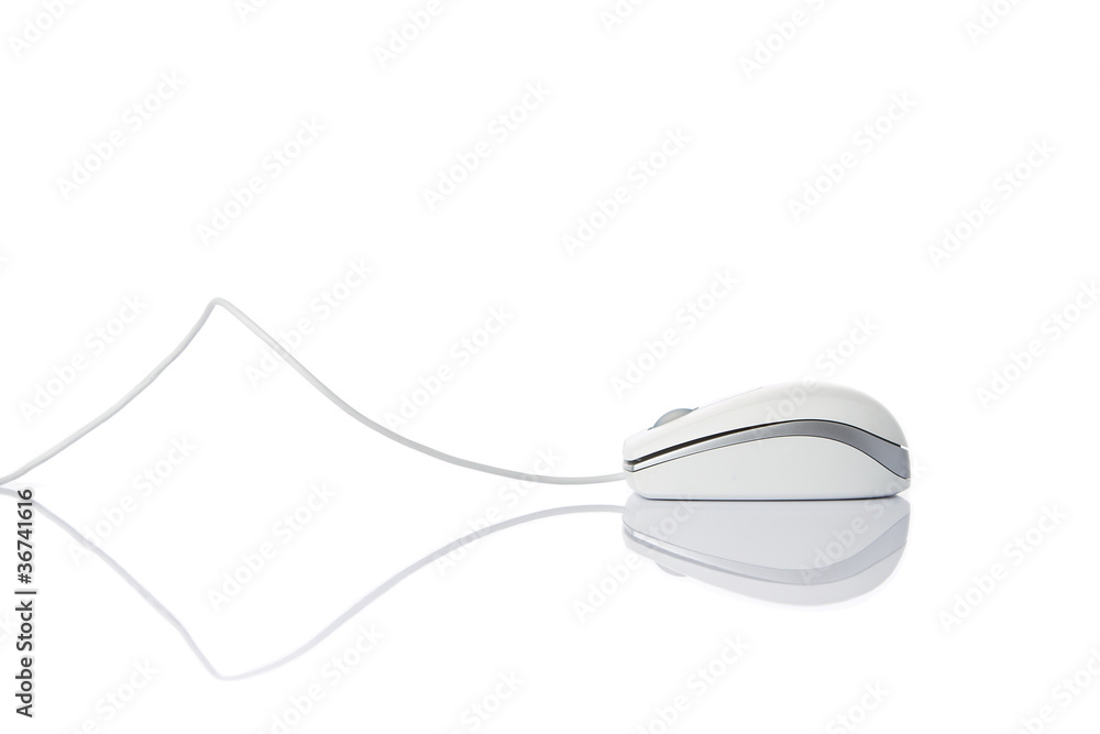Computer mouse isolated on white Computer mouse isolated on white