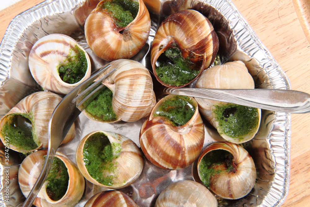 snails as nice french gourmet food background snails as nice french gourmet food background