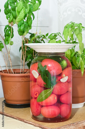 Pickled tomatoes