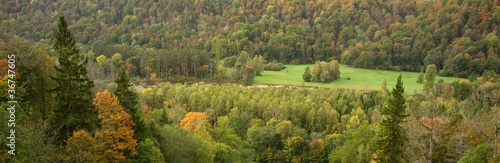 Beautiful autumn forest panorama