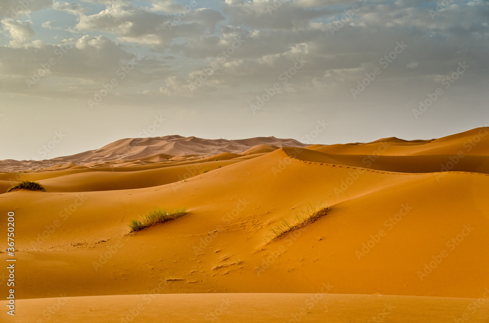 sand dunes at Erg Chebbi, Morocco