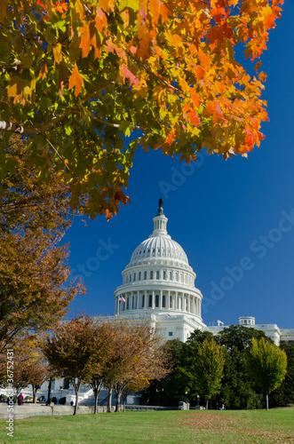 US Capitol in autumn, Washington DC USA