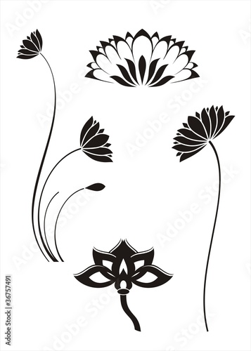 Fototapeta Naklejka Na Ścianę i Meble -  water lilies