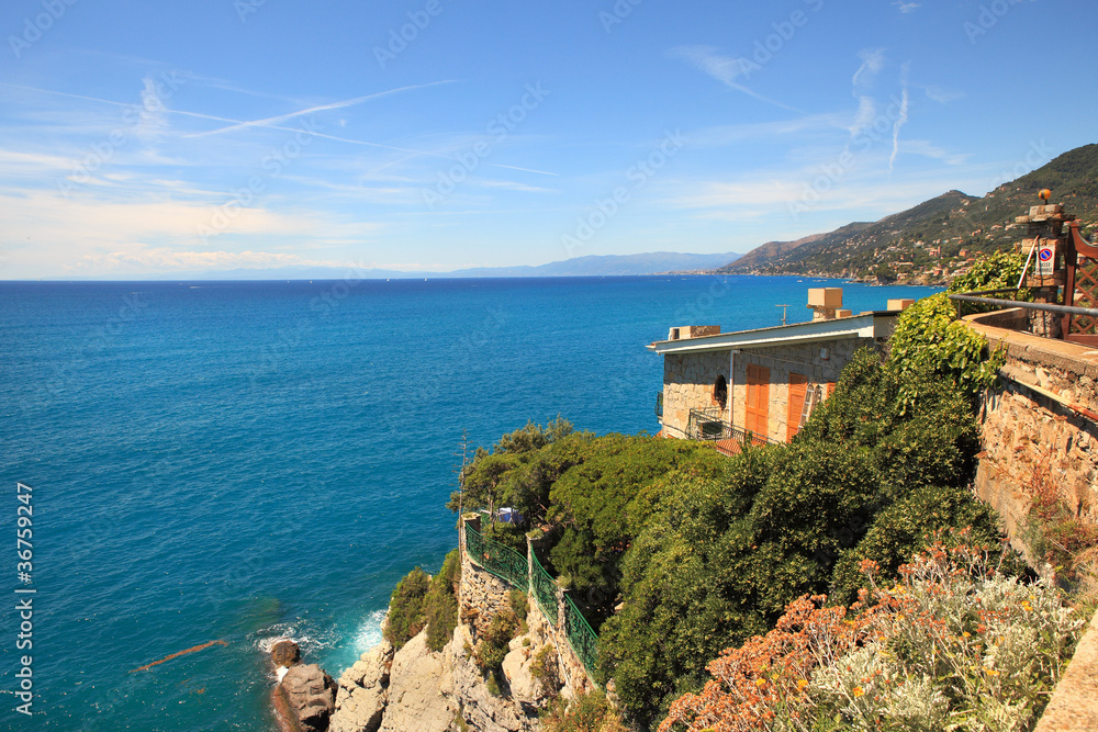 Ligurian sea.