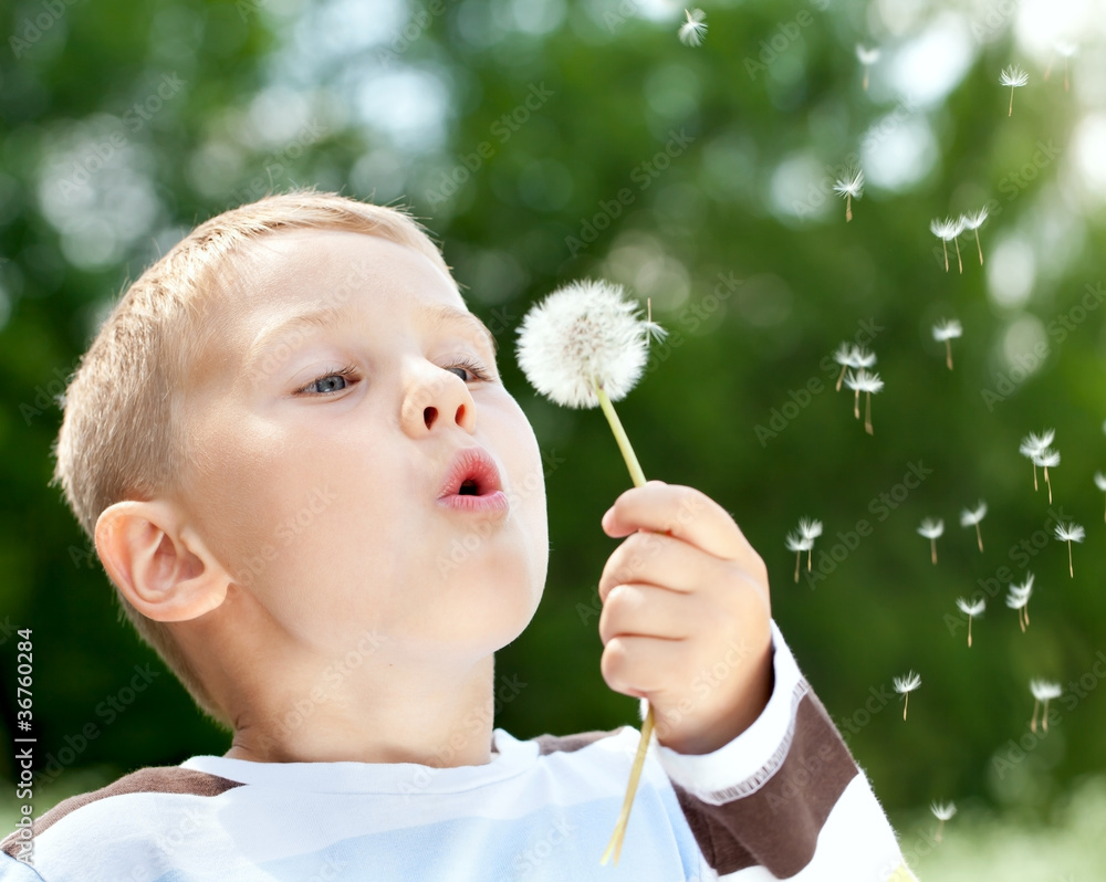 Beautiful Boy in the park blowing on dandelion Beautiful Boy in the park blowing on dandelion
