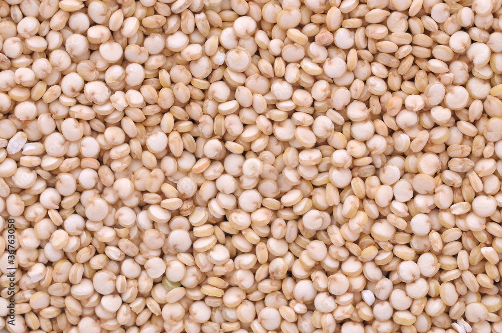 Quinoa Quinoa