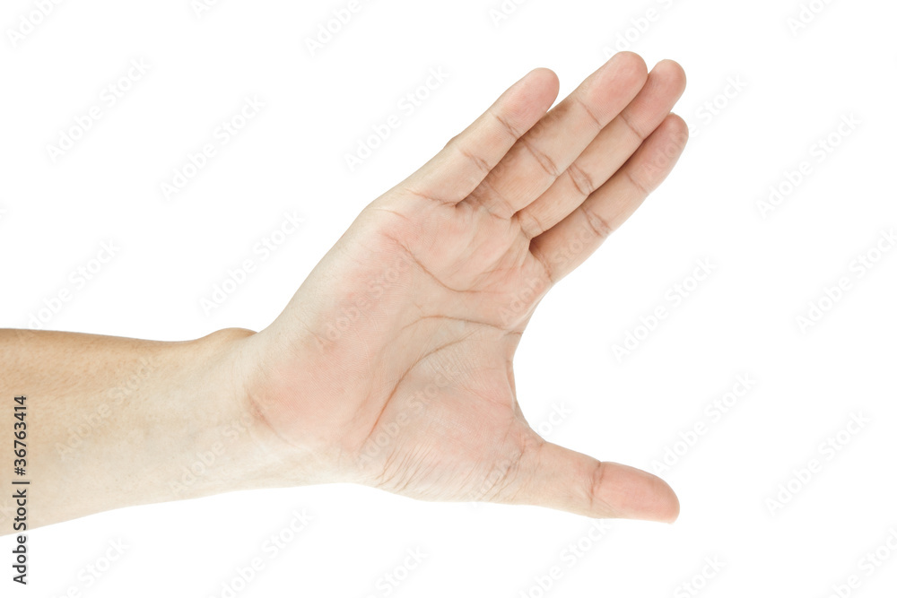 Hand Hand