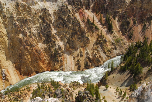 Yellowstone National park photo