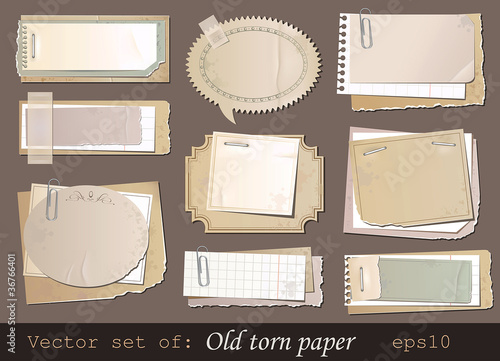Vector illustration of old torn paper photo