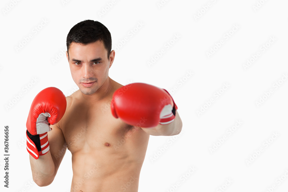 Young boxer performing left punch Young boxer performing left punch