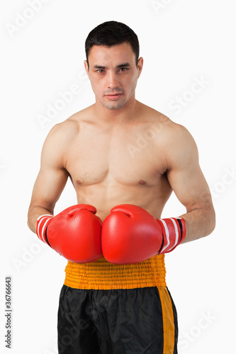 Young boxer with boxing gloves on