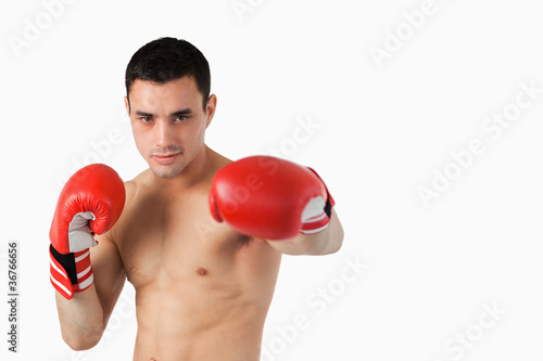Young boxer performing left punch