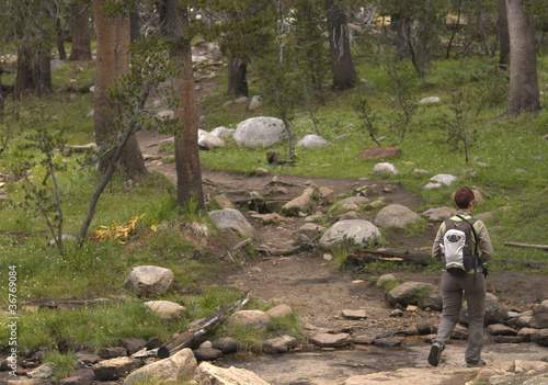 walking in Tuolumne - California photo