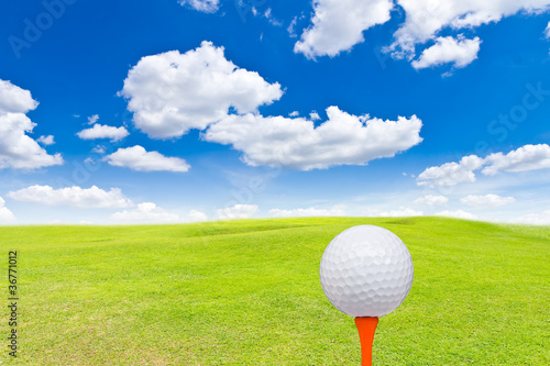 golf ball and tee on green grass