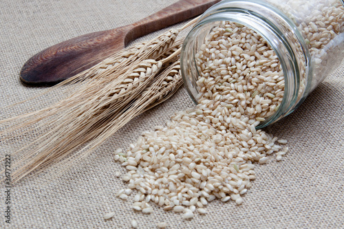 Εκτύπωση καμβά Arroz integral encima de una cuchara de madera