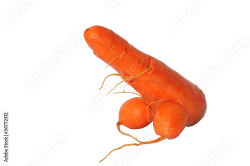Canvas Carrot as a penis