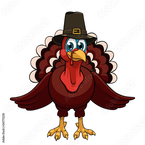 Thanksgiving turkey