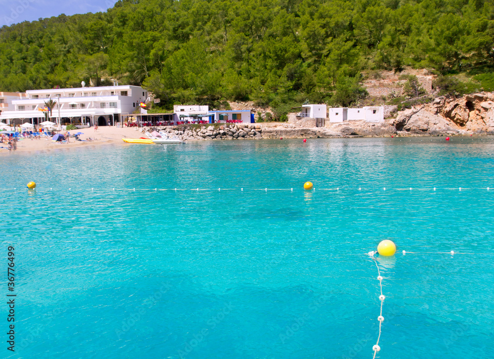 Obraz premium Ibiza, Port de San Miquel, plaża San Miguel