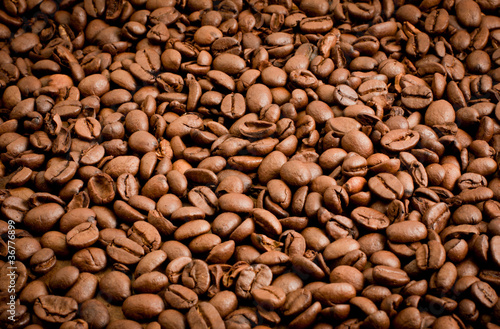 Coffee beans spread out
