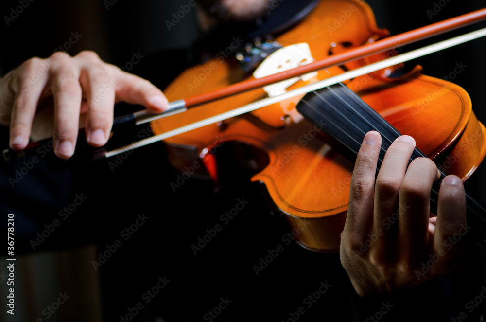 Violin player playing the intstrument Violin player playing the intstrument