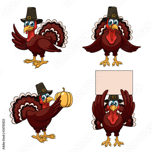Thanksgiving turkeys set