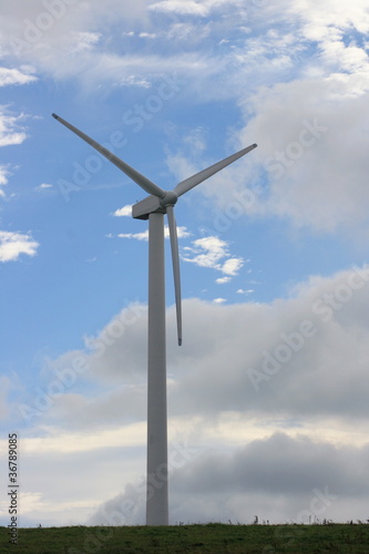 Wind turbine to generate electricity © hadot