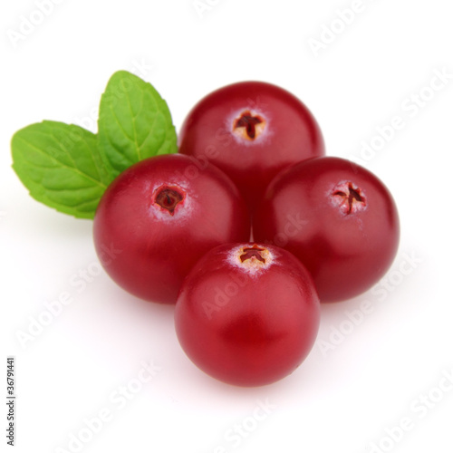 Cranberry with leaves of mint
