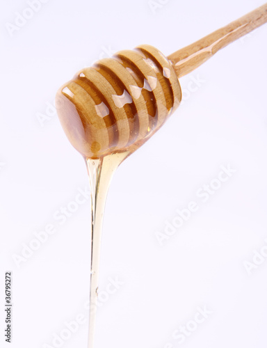 Honey on a honey stick