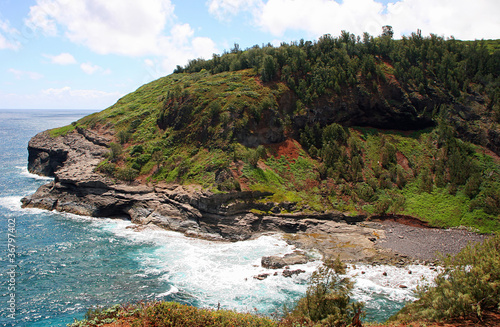 Hawaiian Landscape