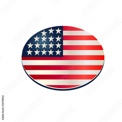 oval flag usa pin