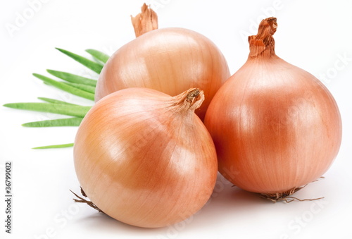 Wallpaper Mural Onion on a white background Torontodigital.ca