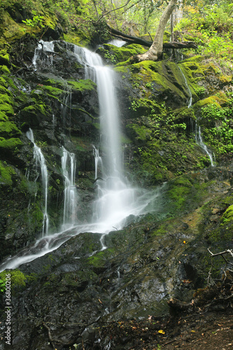 Waterfall in the lush rainforest of Uvas Caynon California