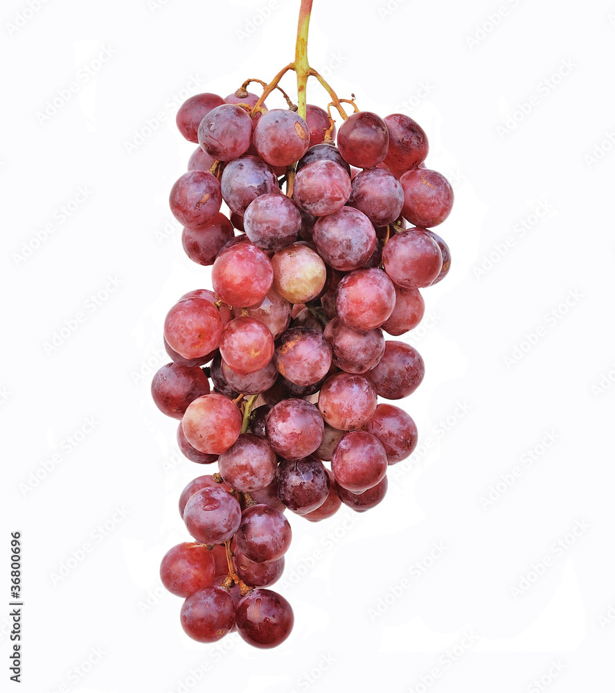 Fototapeta premium red grape isolated on white background