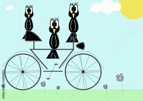 Uccelli su bicicletta