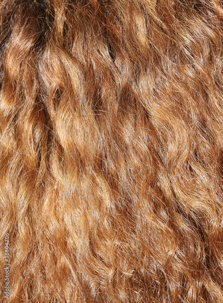 Naklejka premium Curly hair detail