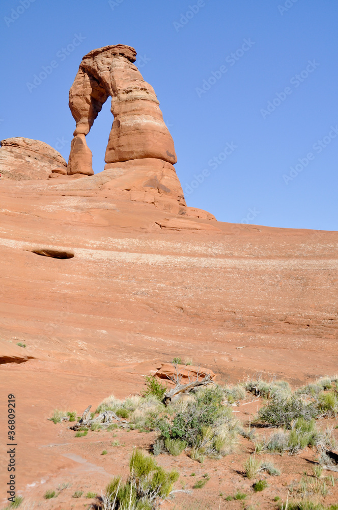 Delicate arch, Arches national park (Utah)