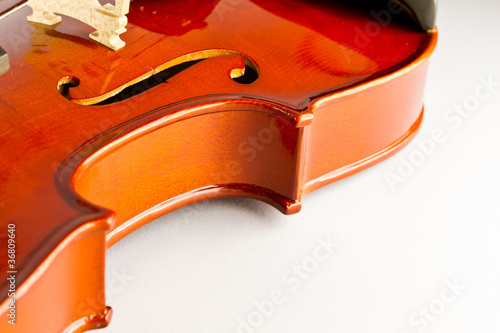 Close-up violin on white background