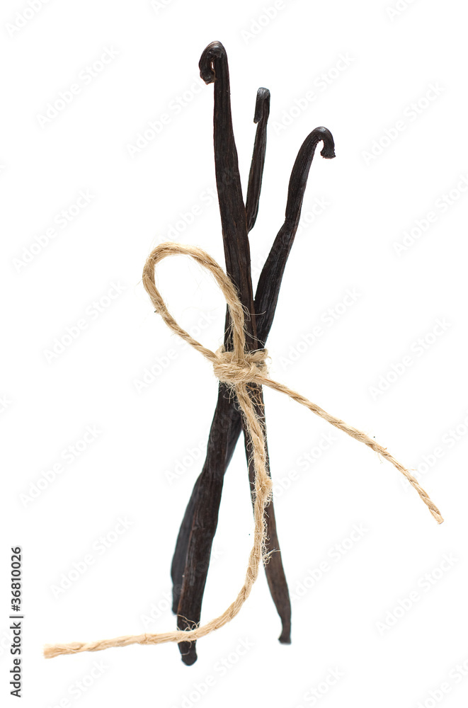 Obraz premium Vanilla beans on white